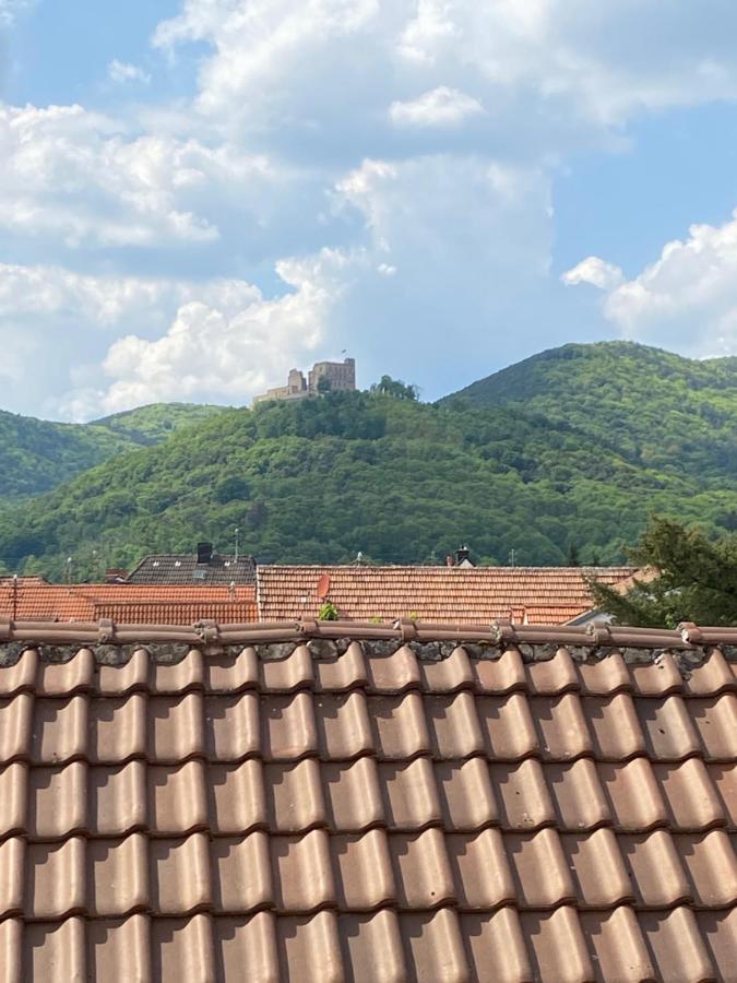 Vintner Suites Neustadt an der Weinstraße Dış mekan fotoğraf
